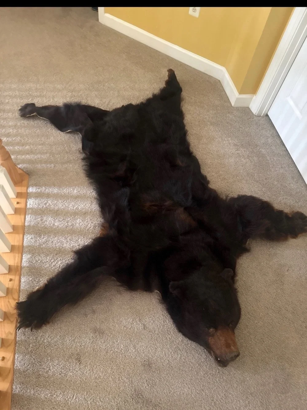 Black Bear Hide Wall Accent - Black Faux Fur Rug